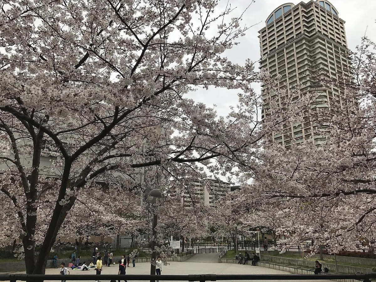 Sakuraya-Inn 大阪市 0*,